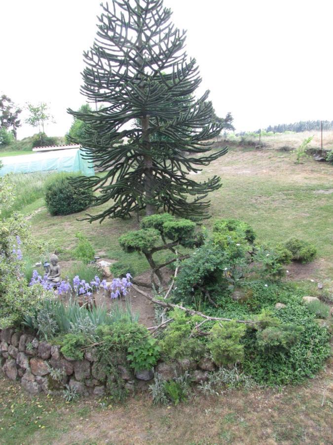 Chez Sophie Et Gilles Monistrol-sur-Loire Exterior foto